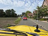 Zandlemig Vlaanderen
